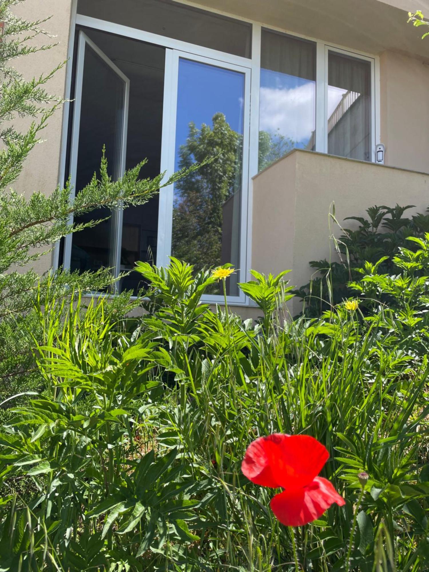 Aljama Burgos Apart otel Dış mekan fotoğraf