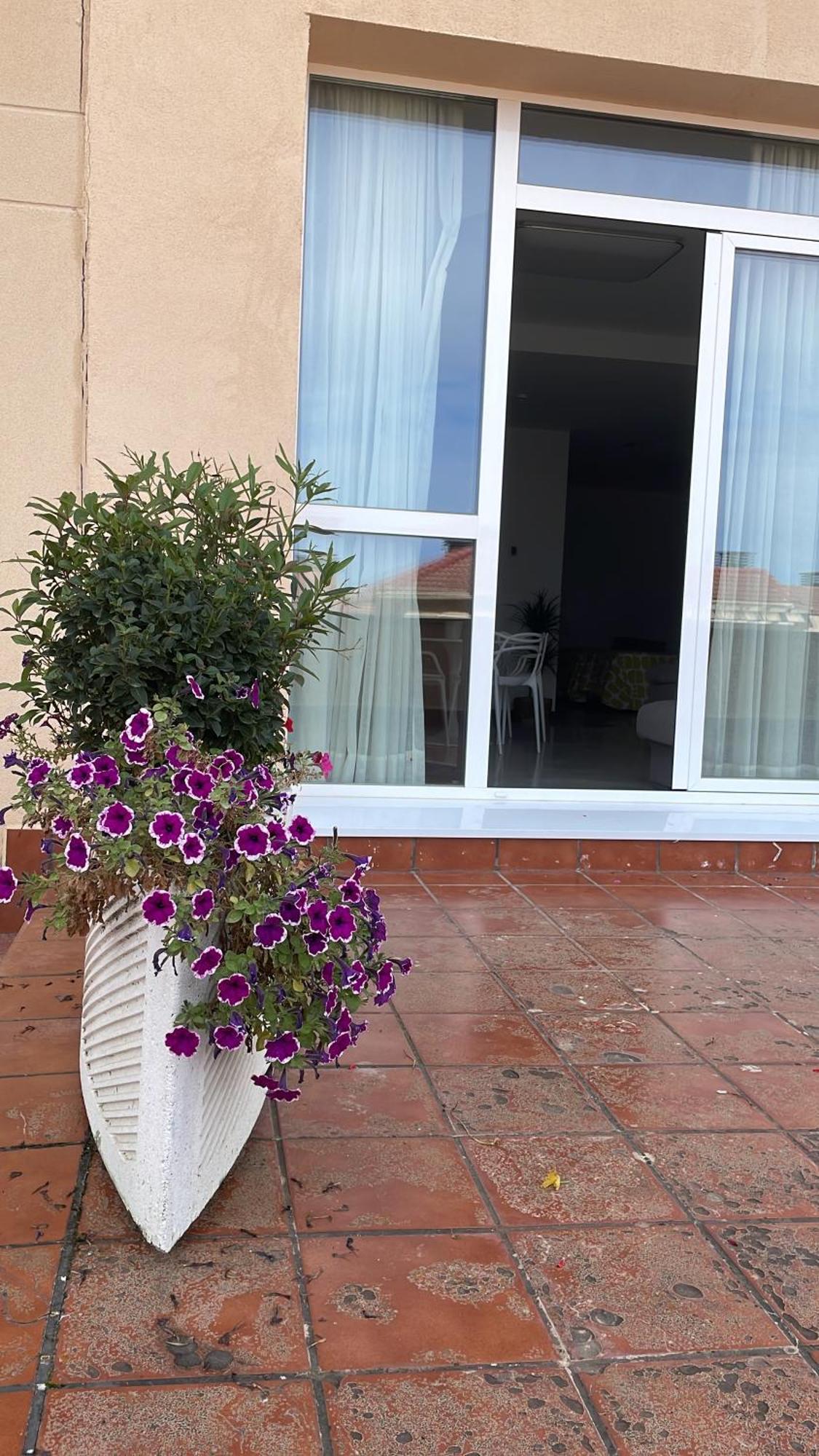 Aljama Burgos Apart otel Dış mekan fotoğraf